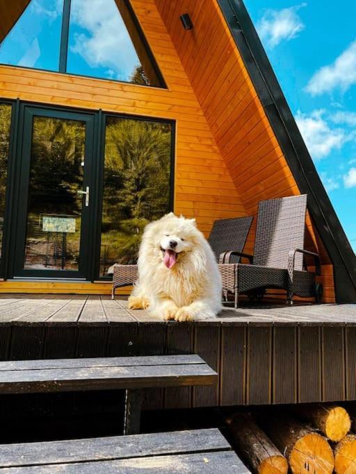 Macko'S Cabin BaileTusnad Exterior foto